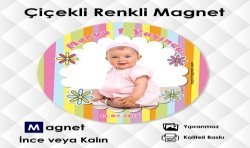 Yuvarlak  Özel Kesim Renkli Magnet