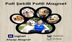 Pati Şekilli Patili Magnet