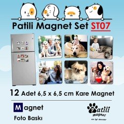 Patili Magnet Set ST07
