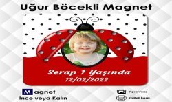 Uğur Böcekli Resimli Kare Magnet