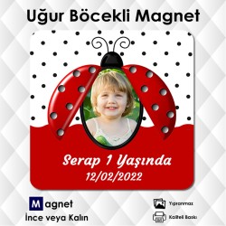 Uğur Böcekli Resimli Kare Magnet