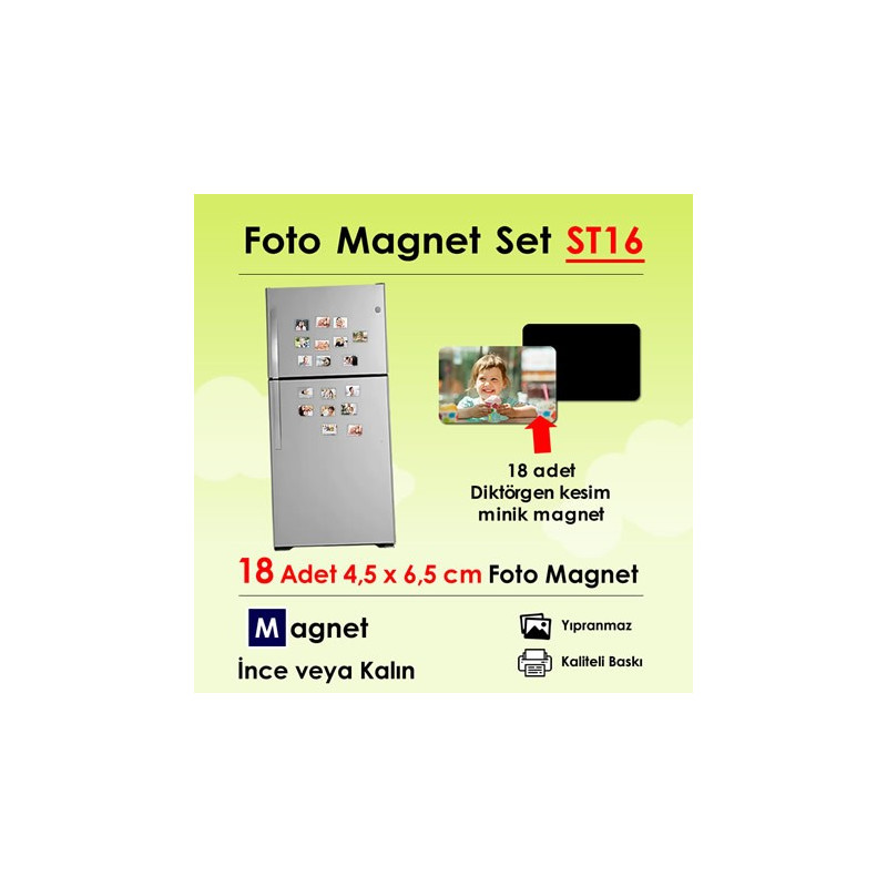 18 Adet Minik Magnet