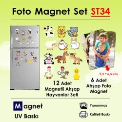 Resimli Magnet ve Ahşap Hayvanlar Seti SET34