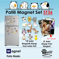 Patili Magnet Set ST36