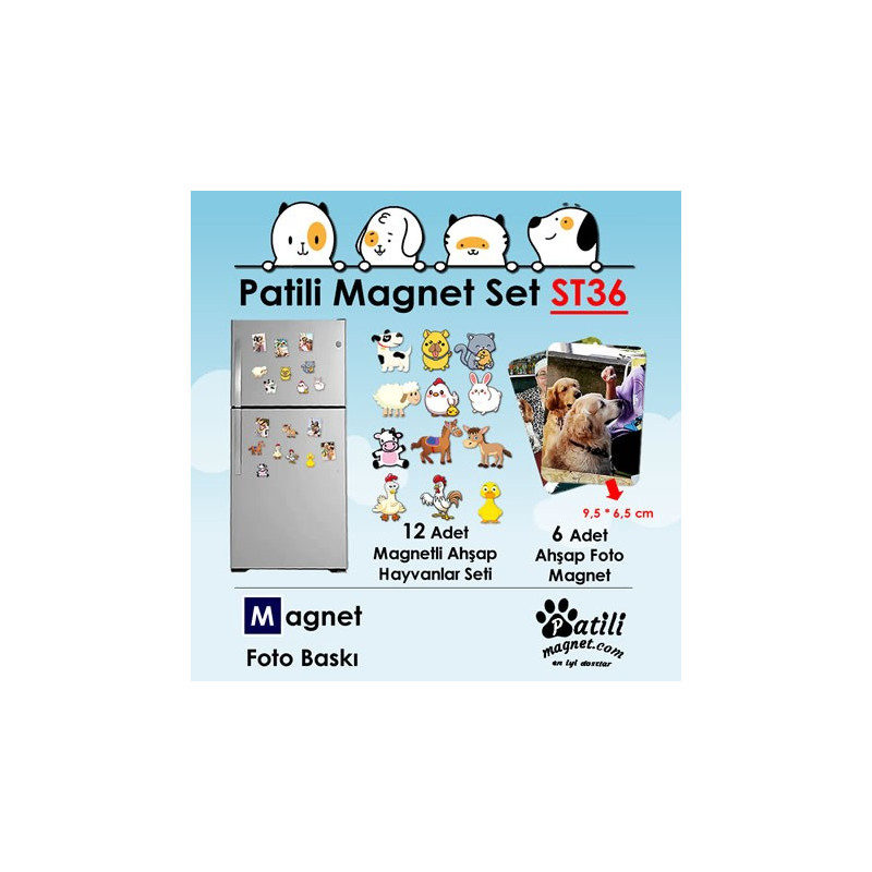 Patili Magnet Set ST36