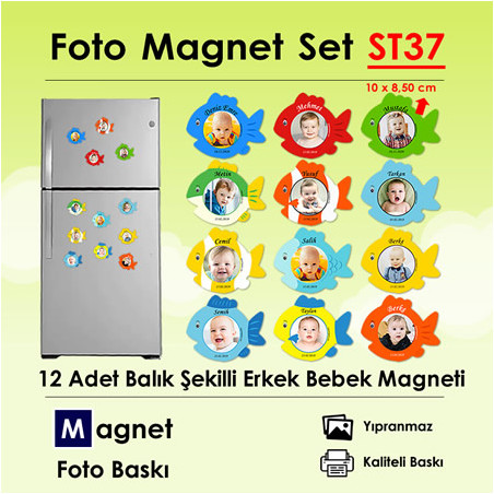 12 Adet Balık Şekilli Erkek Bebek Magneti SET37