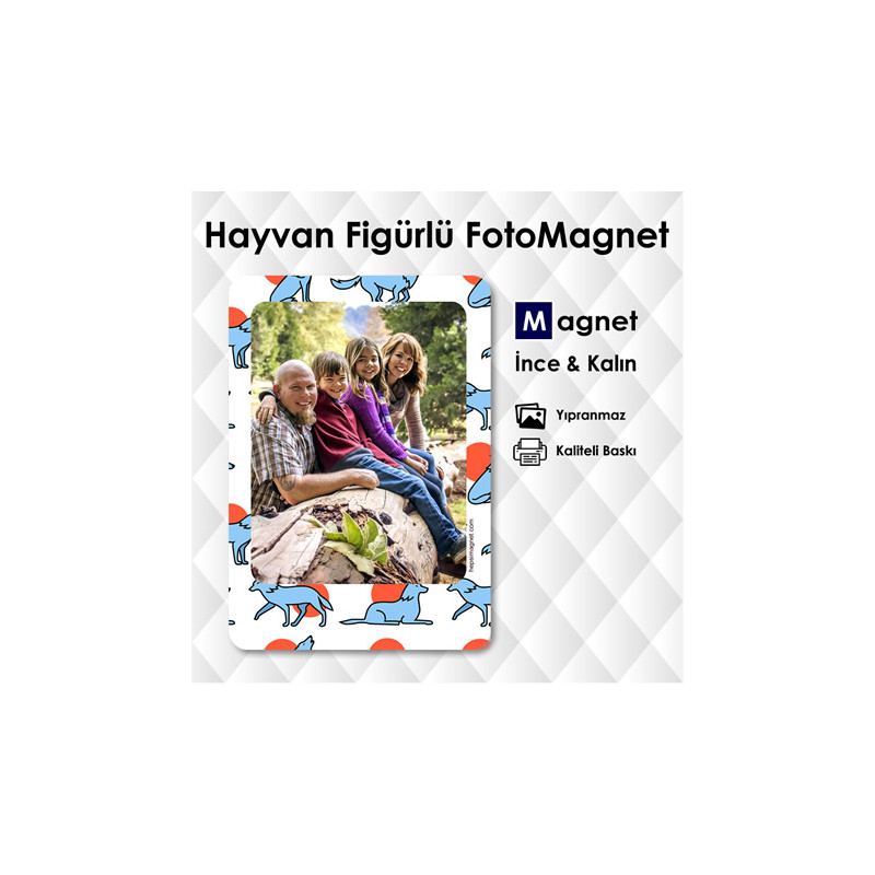 Hayvan Desenli Dolap Resimli Magnet