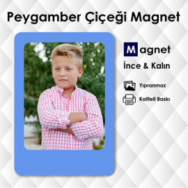 Peygamber Çiçeği Rengi Dolap Süsü Modelleri