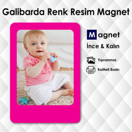 Galibarda Renk Mıknatıslı Süsler