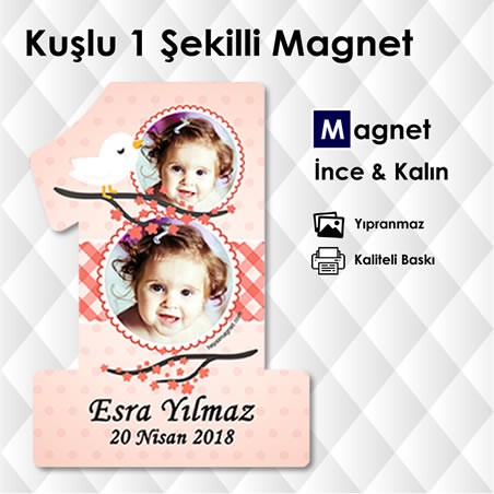 1 Şekilli 1 Yaş Magnetleri