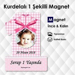 Pitikare Desenli 1 Şeklinde Magnet