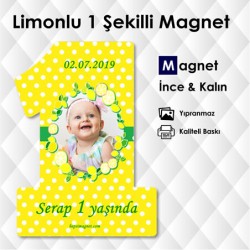 Limon Konseptli 1 Şeklinde Magnet