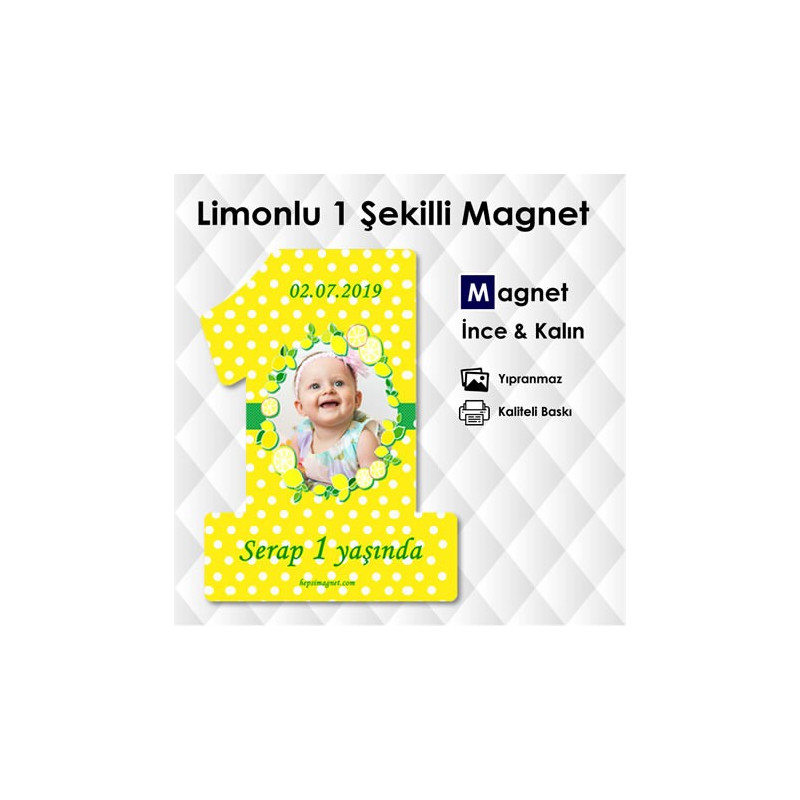 Limon Konseptli 1 Şeklinde Magnet