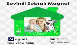 Ev Şekilli Zebra Temalı Buzdolabı Magneti