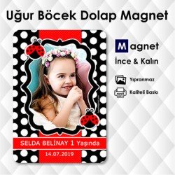 Uğur Böcekli Mıknatıslı Buzdolabı Magneti