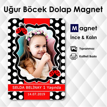 Uğur Böcekli Mıknatıslı Buzdolabı Magneti