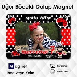 Uğur Böcekli Buzdolabı Magneti