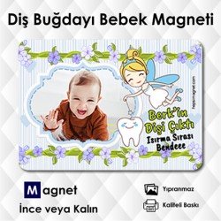 İlk Dişim Çıktı Magneti