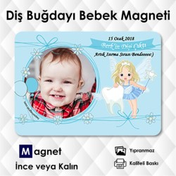 Diş Bulguru Magnetleri