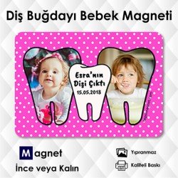 Diş Partisi Magnetleri