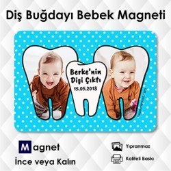 Diş Buğdayı İçin Magnet