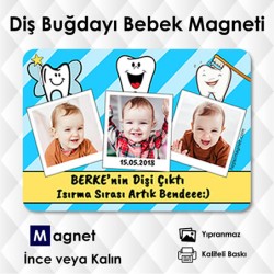 Magnet Diş Buğdayı Süsü