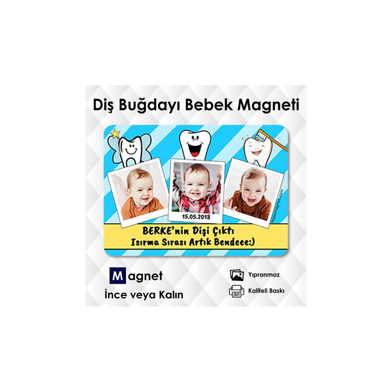 Magnet Diş Buğdayı Süsü