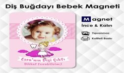 Kız Bebek Diş Magnetleri