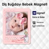 Pembeli Diş Bugdayı Magneti Pembeli Diş Bugdayı Magneti
