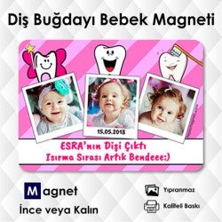 İlk Dişim Magnet Modeli