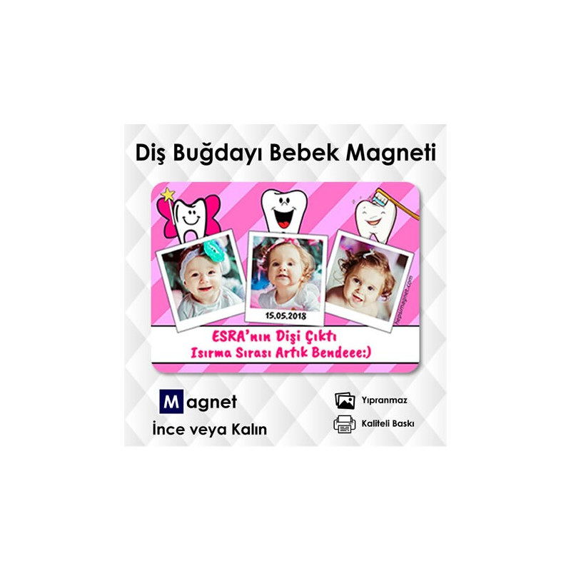 İlk Dişim Magnet Modeli