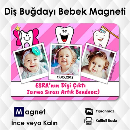 İlk Dişim Magnet Modeli