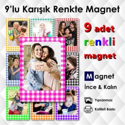 9 Adet Pötikare Desenlerde Renkli Magnet