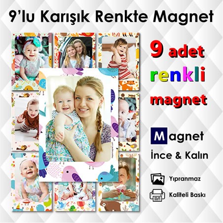 Kuş Figürlü 9 Parça Renkli Buzdolabı Magneti