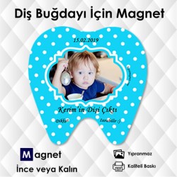 Diş Buğdayı İçin Diş Şekilli Magnet Kod:DİS3