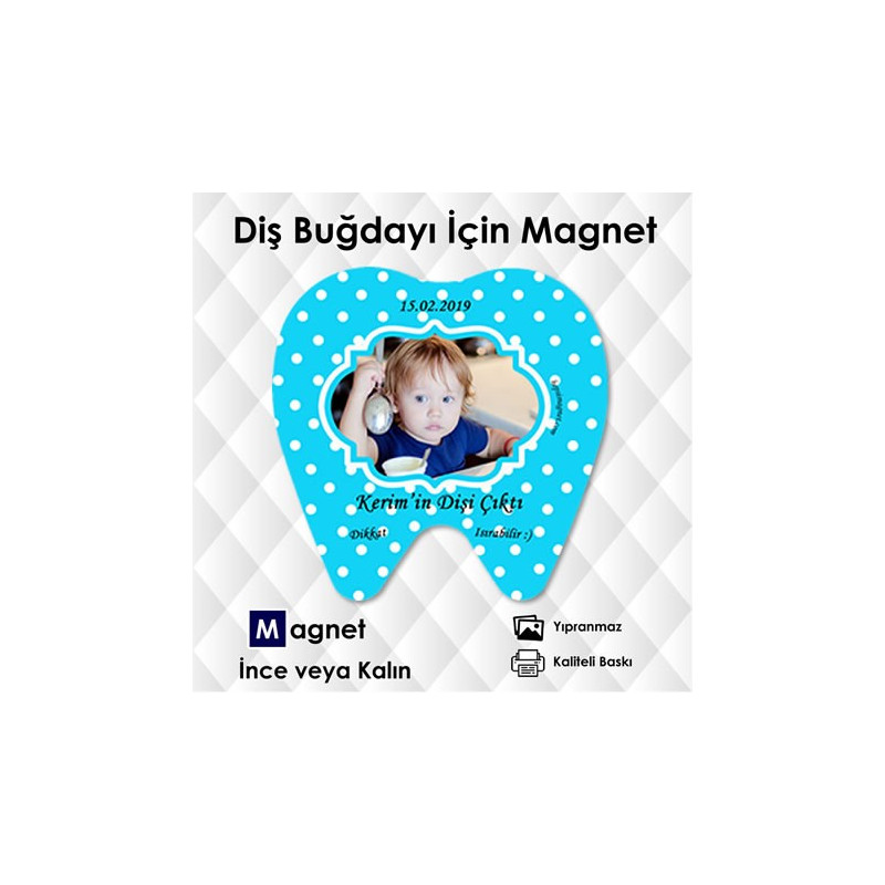 Diş Buğdayı İçin Diş Şekilli Magnet Kod:DİS3