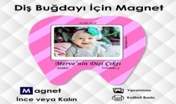 Şekilli İlk Dişim Magnet Modeli Kod:DİS6