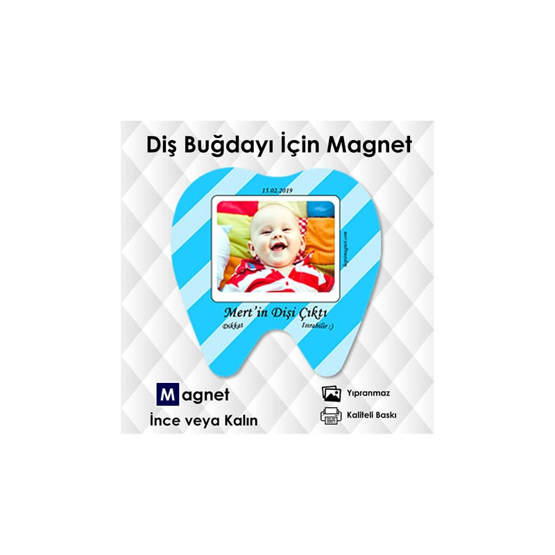 Diş Şekilli Magnet Diş Buğdayı Süsü Kod:DİS7