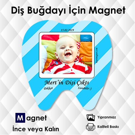 Diş Şekilli Magnet Diş Buğdayı Süsü Kod:DİS7