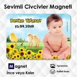 Sevimli Civcivler Fonlu Resimli Magnet