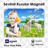 Doğa ve Sevimli Kuzular Fonlu Resimli Magnet