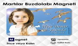 Gökyüzü ve Kuş Fonlu Resimli Magnet