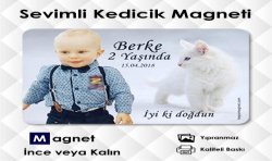 Sevimli Kedi Fonlu Resimli Magnet