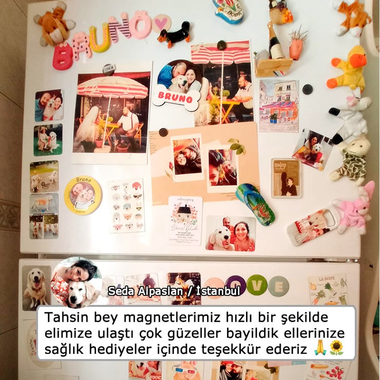 Pati Şekilli Ahşap Magnet ve FotoMagnetler